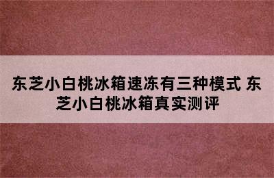 东芝小白桃冰箱速冻有三种模式 东芝小白桃冰箱真实测评